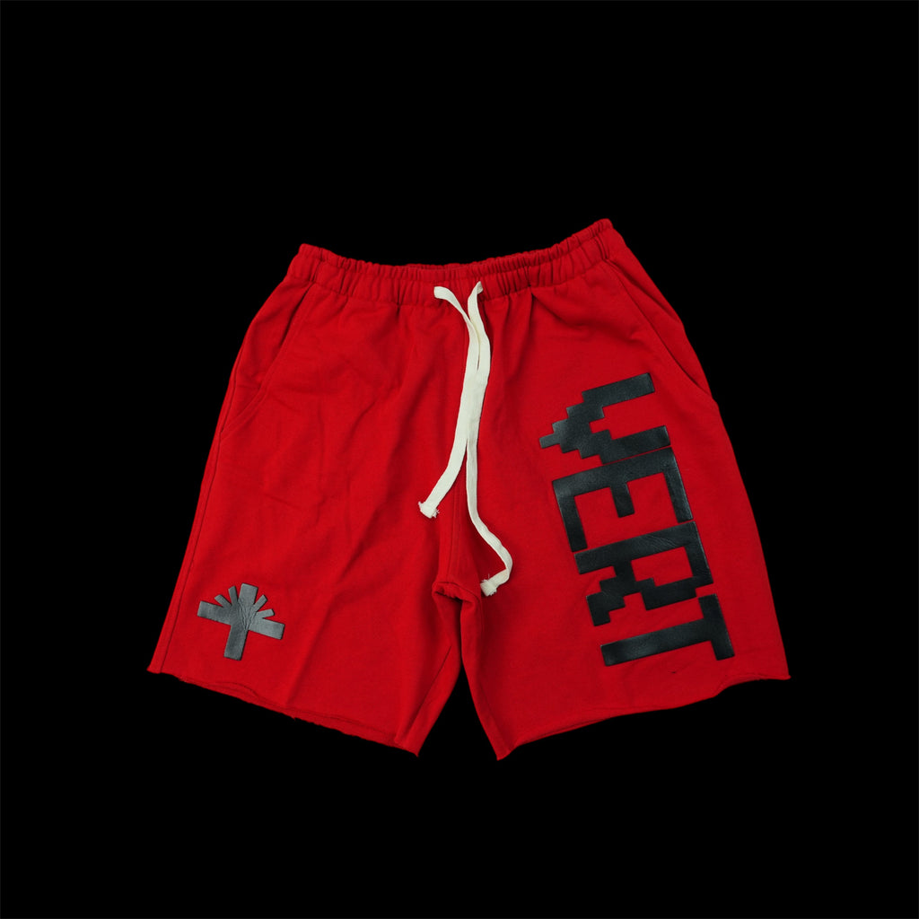 1-1 Vertebrae Shorts